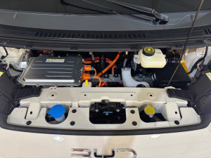 BYD Dolphin Mini 38 KW ELÉTRICO