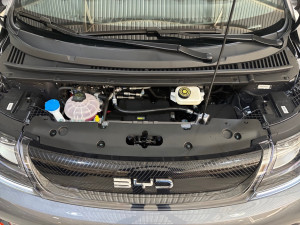 BYD Dolphin 44,9 KW ELÉTRICO GS