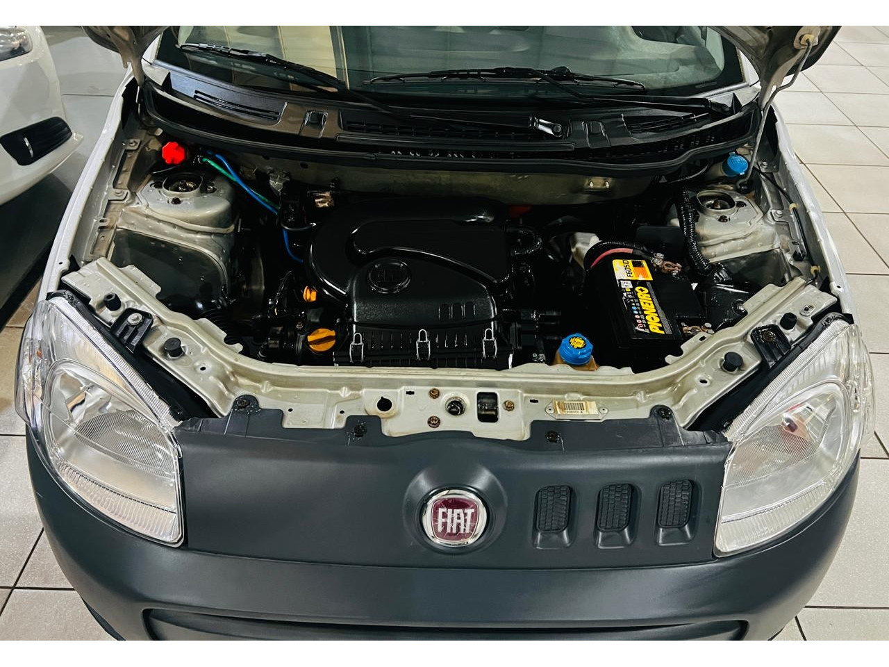 Uno 1.0 4P FLEX EVO VIVACE CELEBRATION