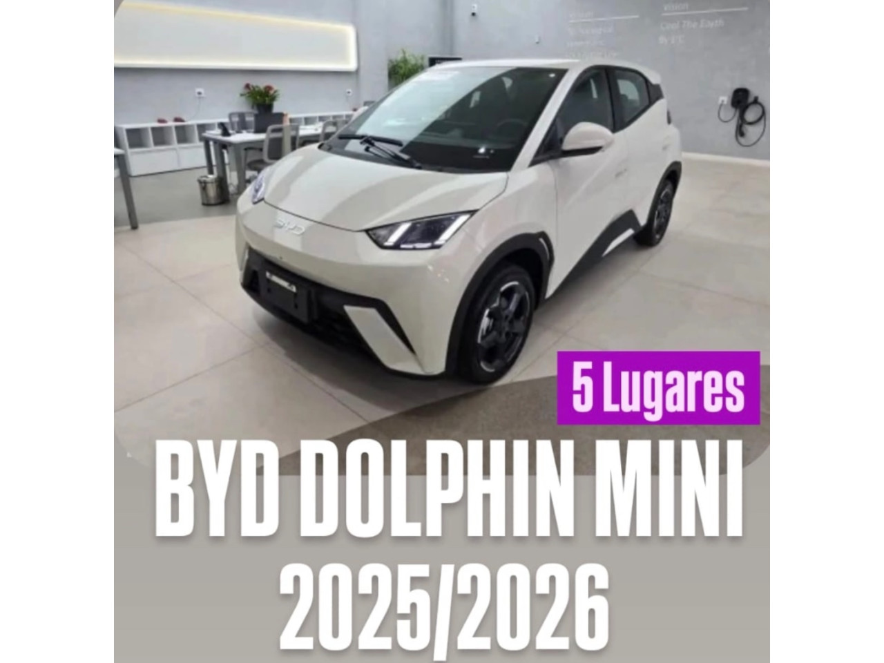 Dolphin Mini 38 KW ELÉTRICO