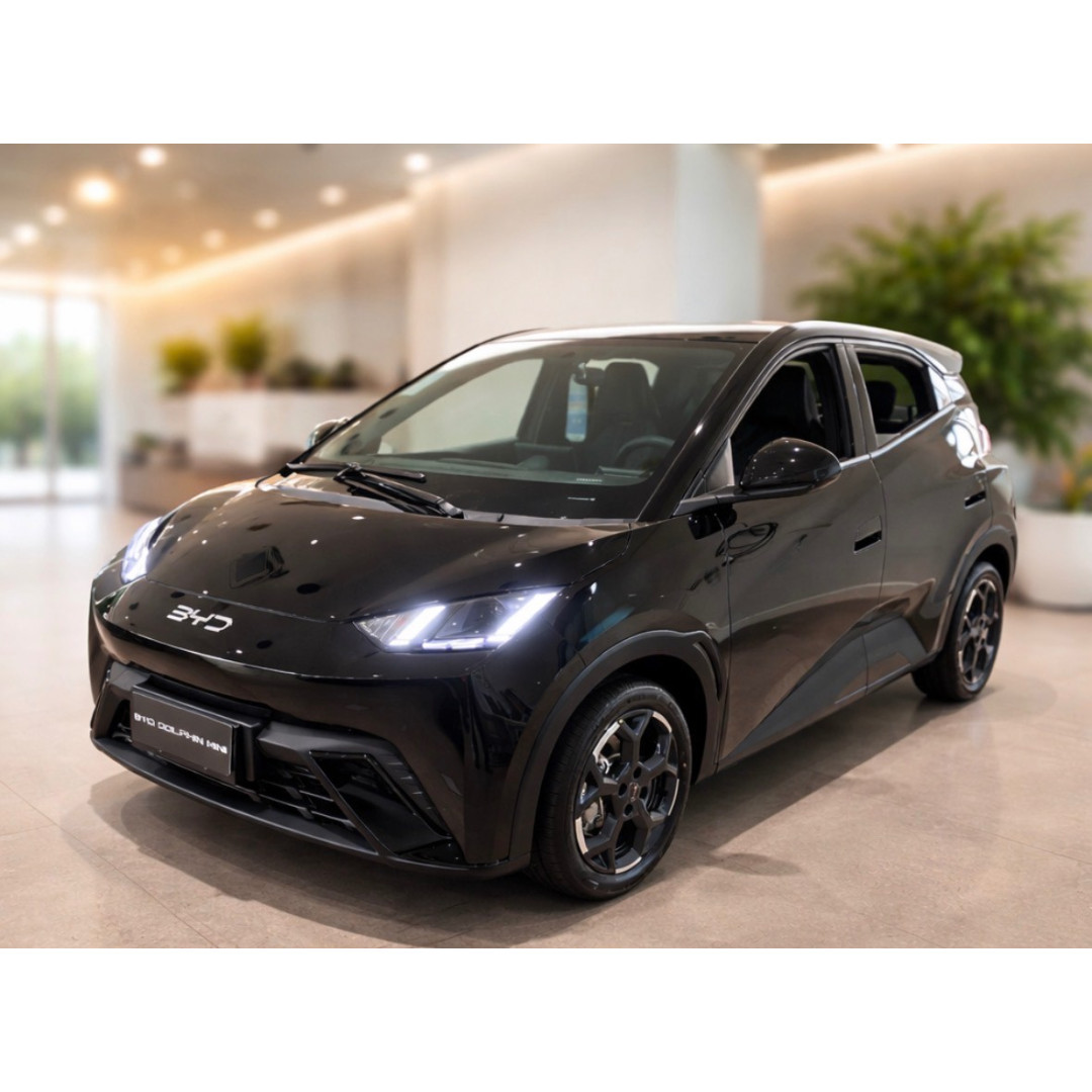 Dolphin Mini 38 KW ELÉTRICO