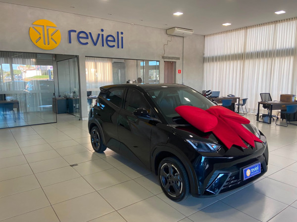 Dolphin Mini 38 KW ELÉTRICO