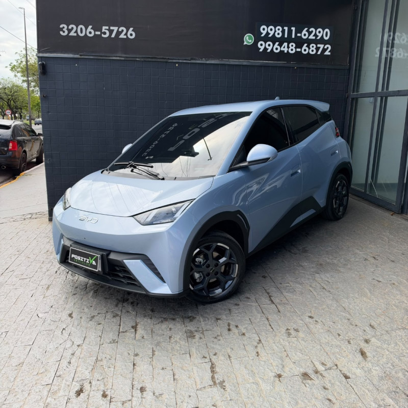 BYD Dolphin Mini -- Selecione --