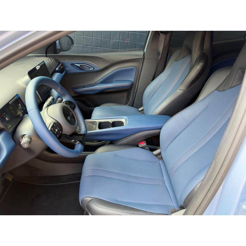 BYD Dolphin Mini -- Selecione --