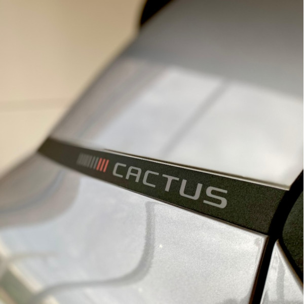 CITROEN C4 Cactus 1.6 16V 4P FLEX SHINE PACK THP TURBO AUTOMÁTICO