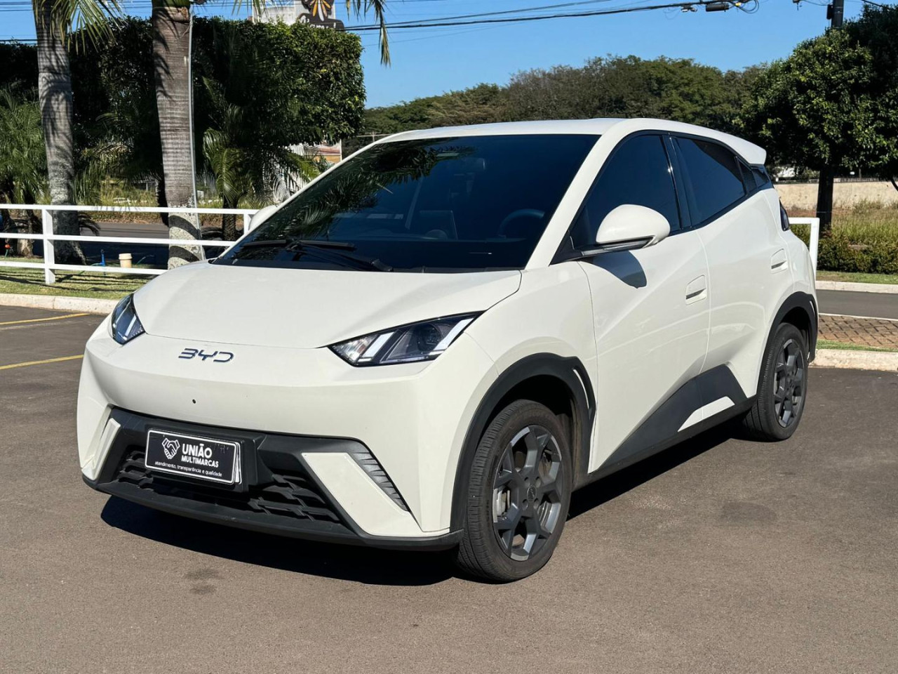 DOLPHIN MINI GS5EV
