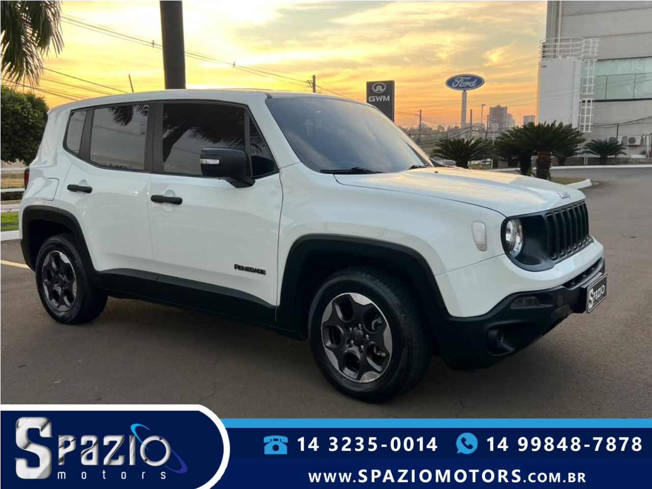 Renegade 1.8 16V 4P FLEX AUTOMÁTICO