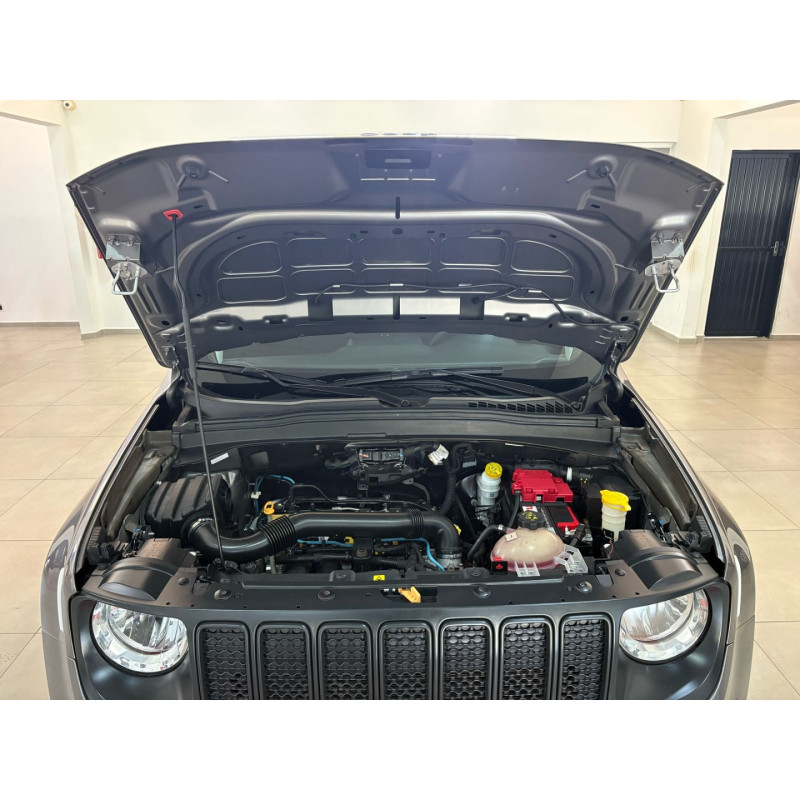 Renegade 1.8 16V 4P FLEX AUTOMÁTICO