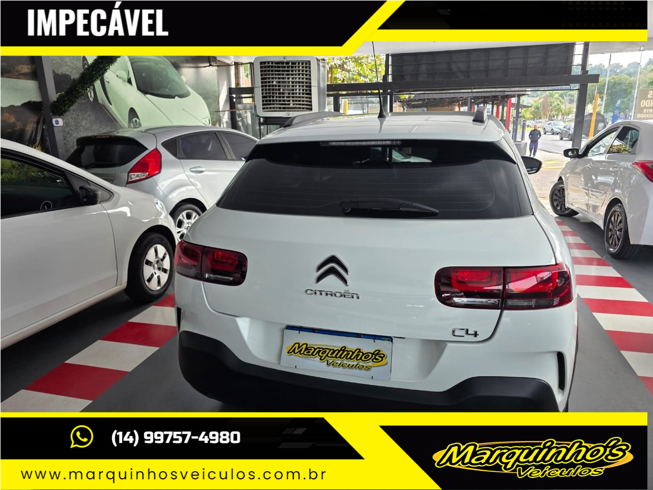 C4 Cactus 1.6 16V 4P FLEX FEEL