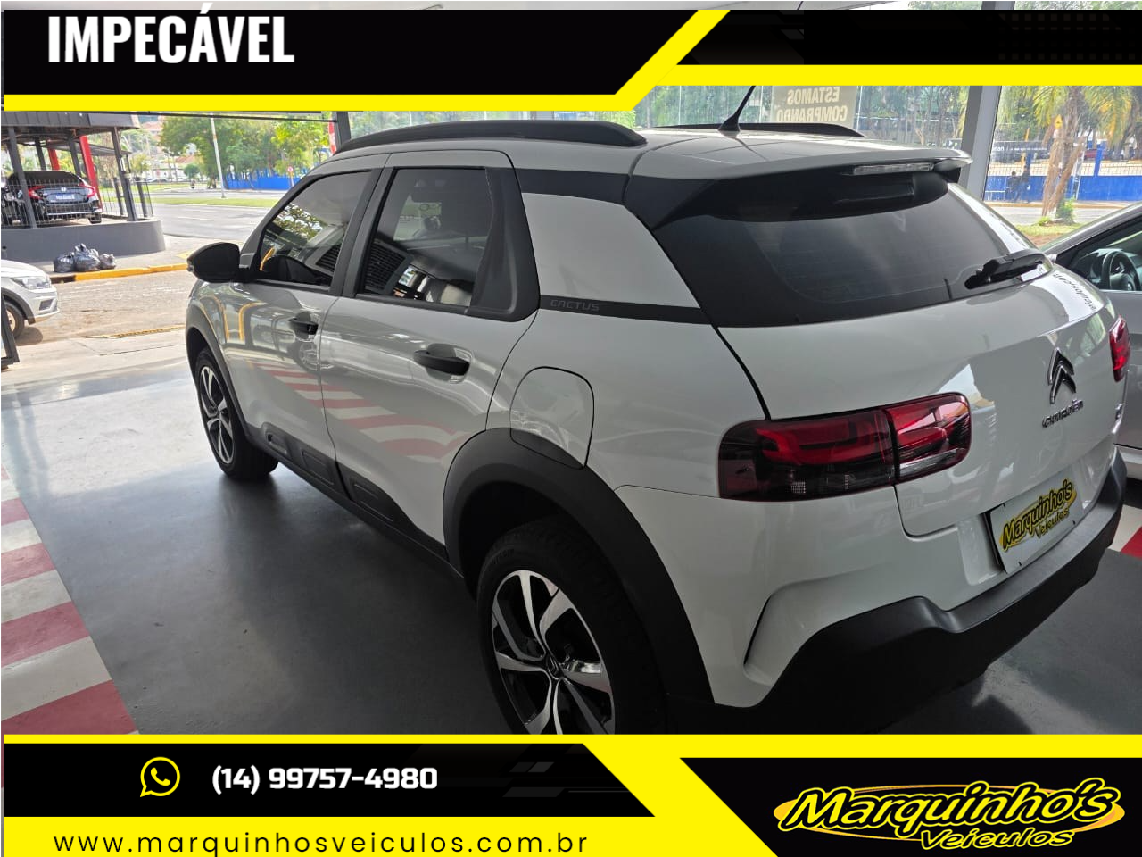 C4 Cactus 1.6 16V 4P FLEX FEEL
