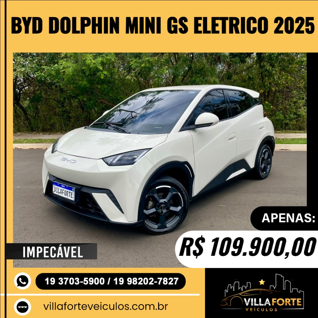 Dolphin Mini 38 KW ELÉTRICO GS