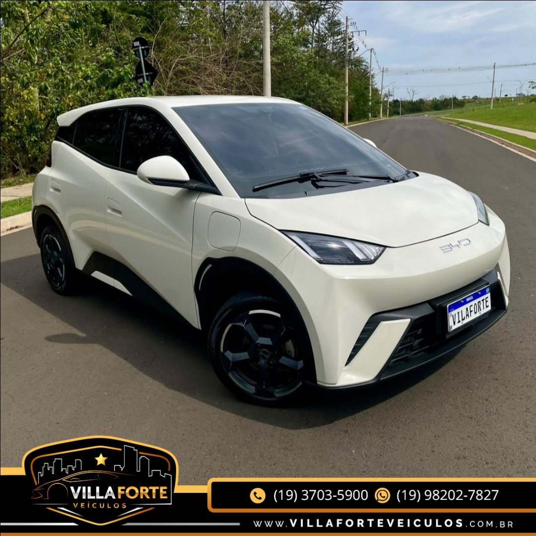 BYD Dolphin Mini 38 KW ELÉTRICO GS