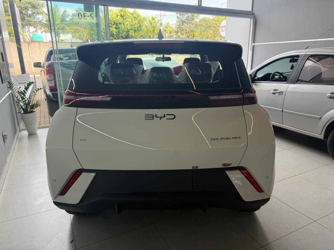 BYD Dolphin Mini 38 KW ELÉTRICO GS