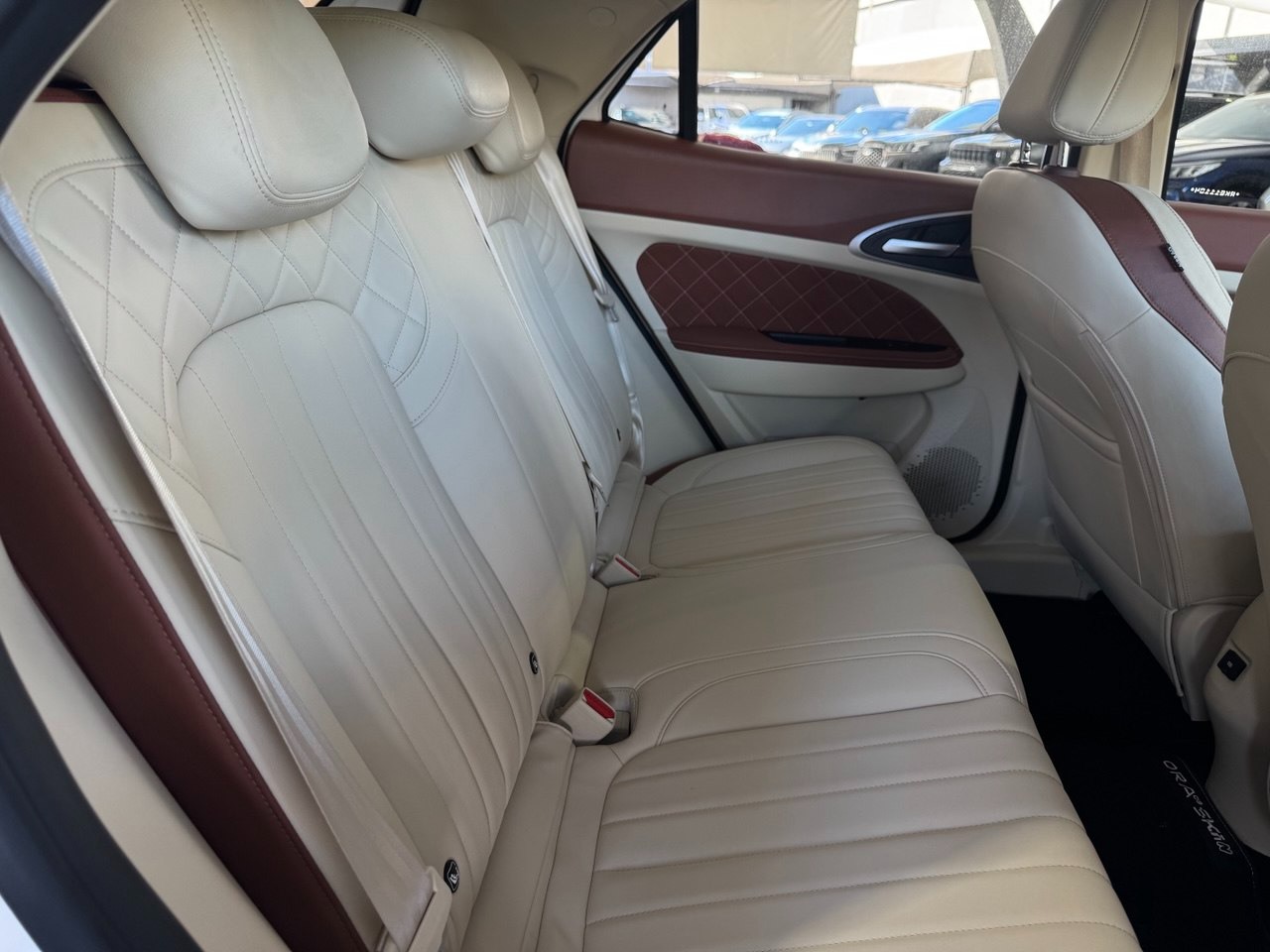 GWM Ora 03 48 KW ELÉTRICO SKIN