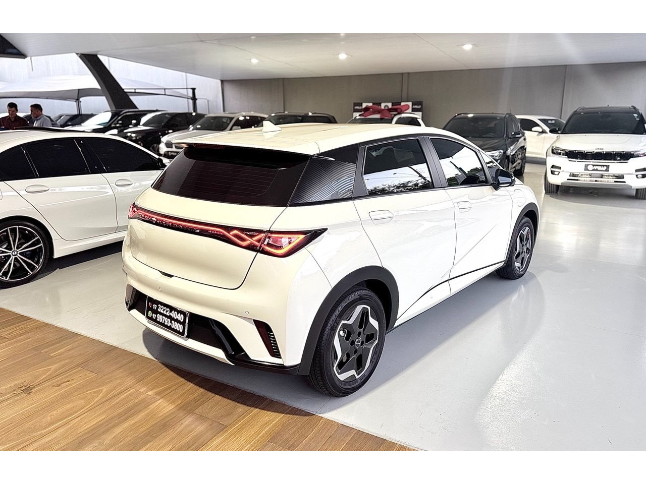 Dolphin 44,9 KW ELÉTRICO GS