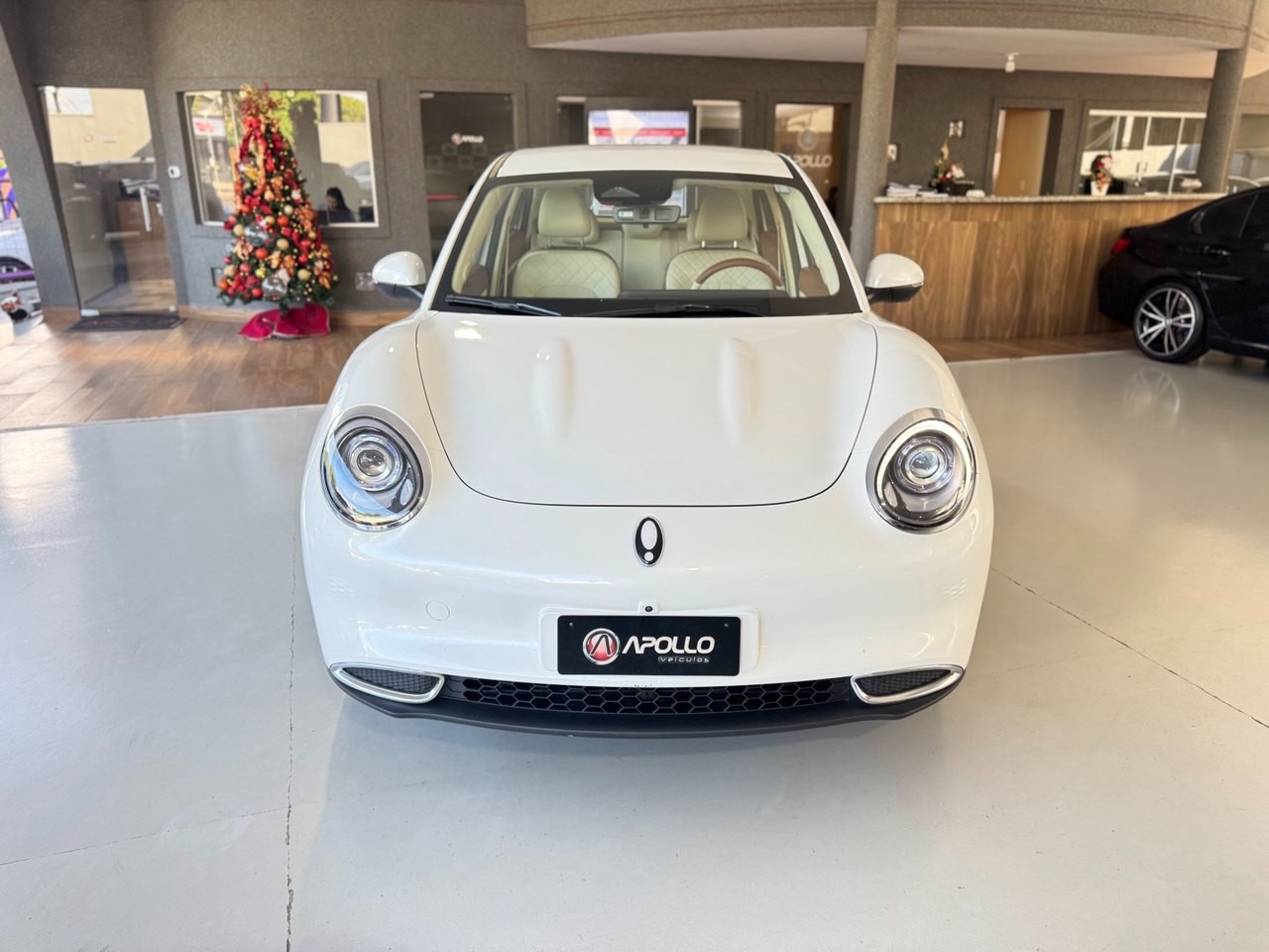 GWM Ora 03 48 KW ELÉTRICO SKIN