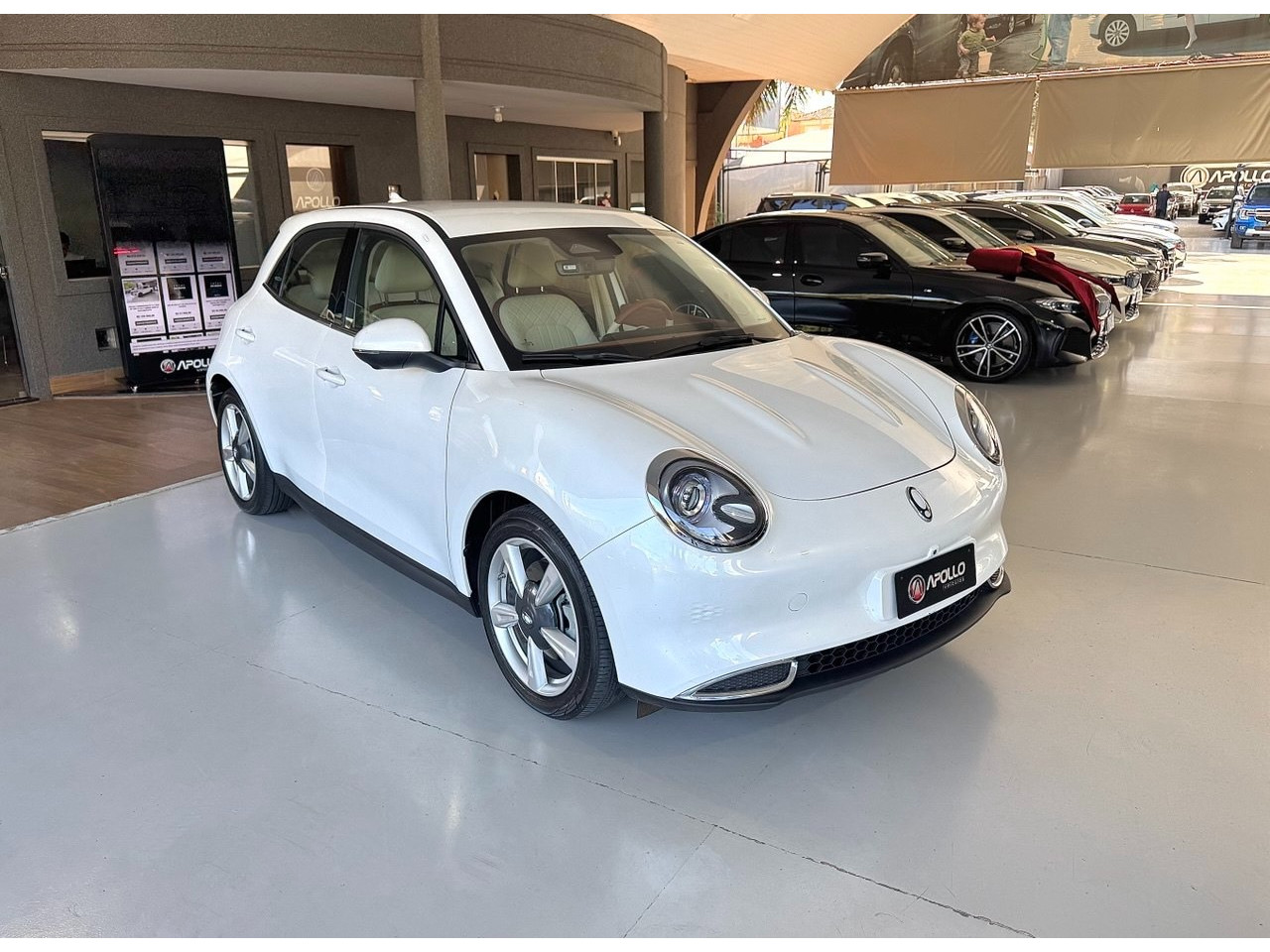 GWM Ora 03 48 KW ELÉTRICO SKIN