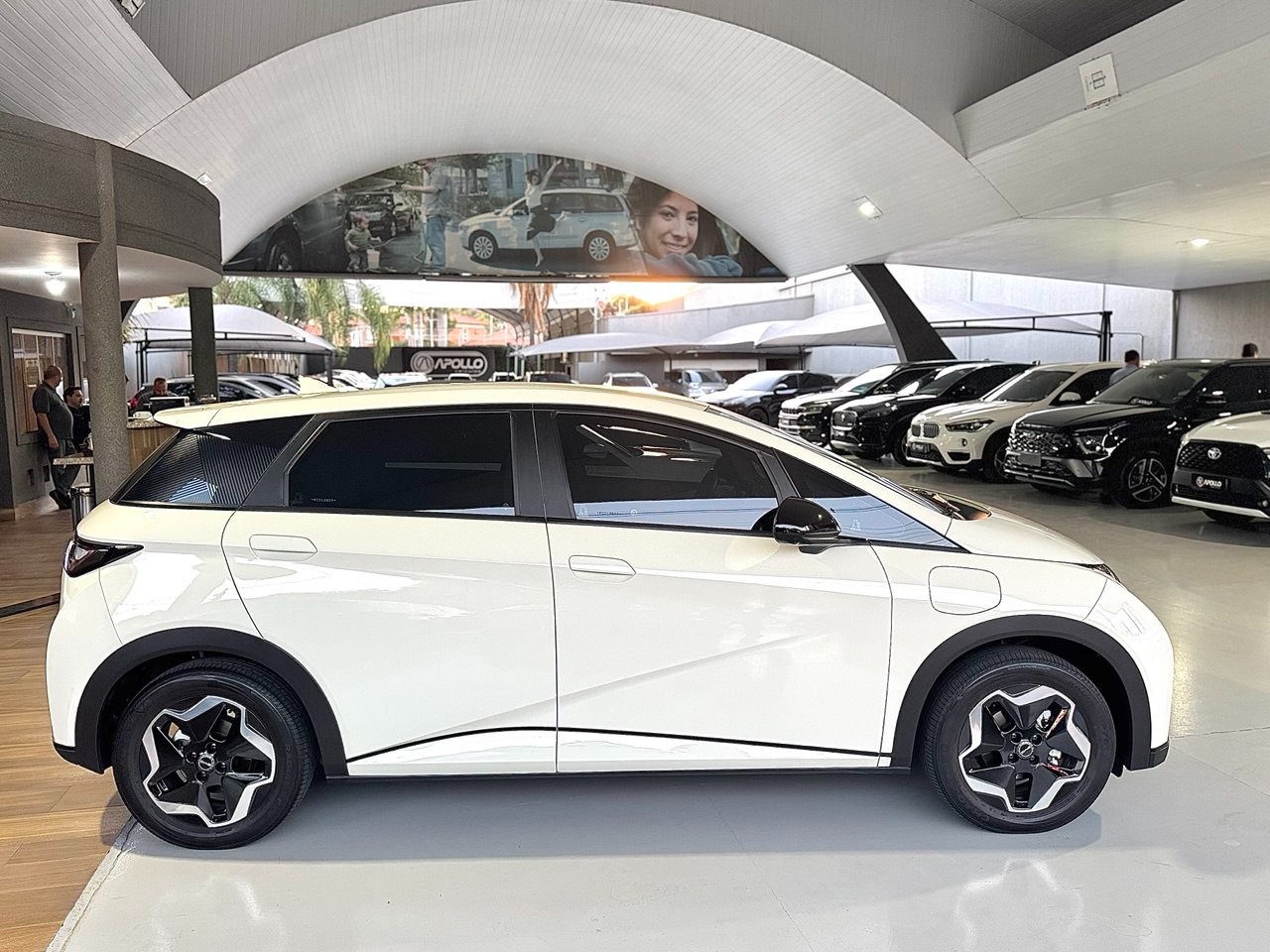 Dolphin 44,9 KW ELÉTRICO GS