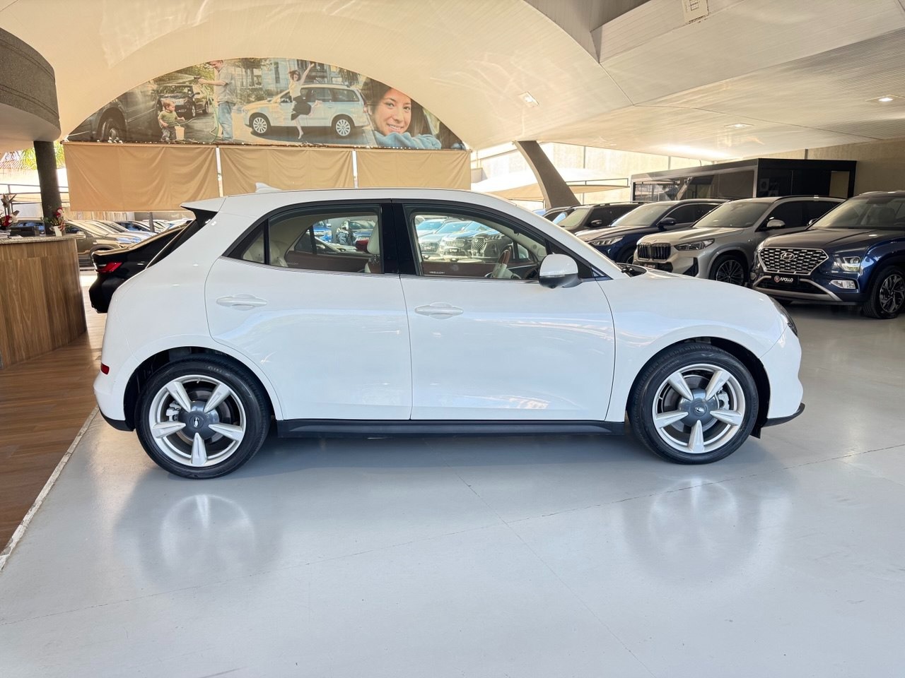 GWM Ora 03 48 KW ELÉTRICO SKIN