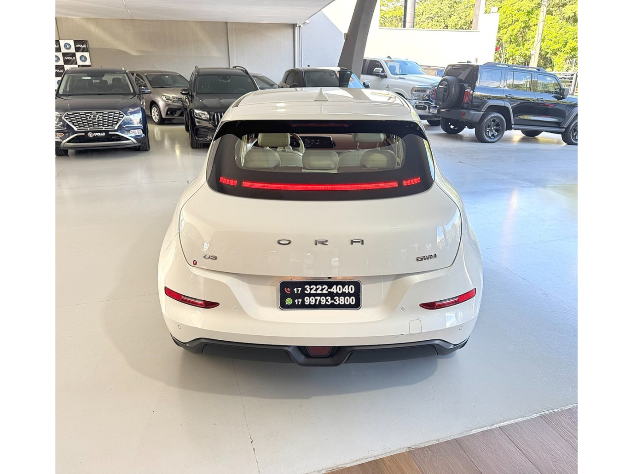 GWM Ora 03 48 KW ELÉTRICO SKIN