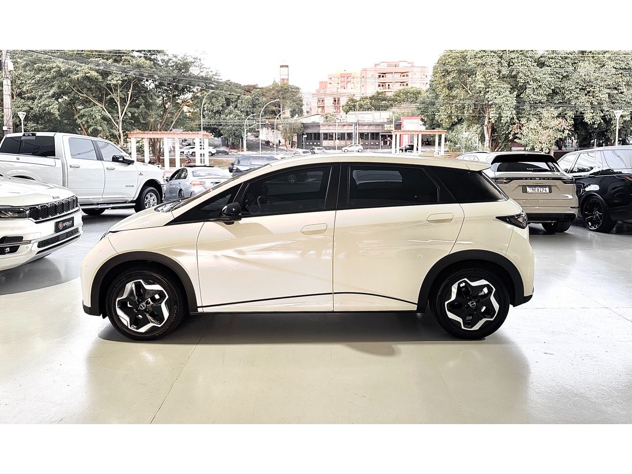 Dolphin 44,9 KW ELÉTRICO GS