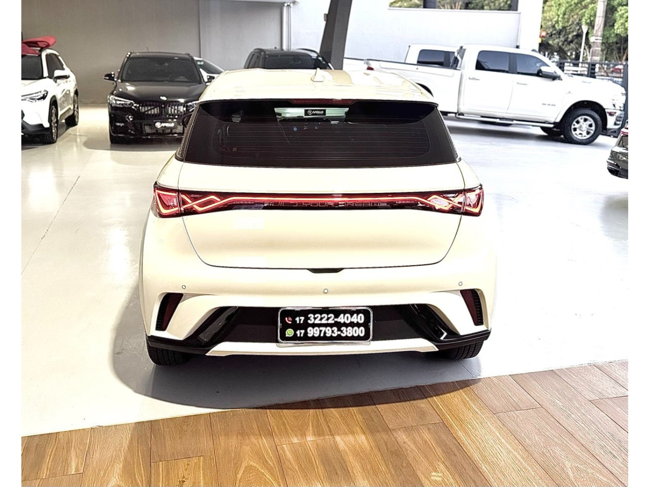 Dolphin 44,9 KW ELÉTRICO GS