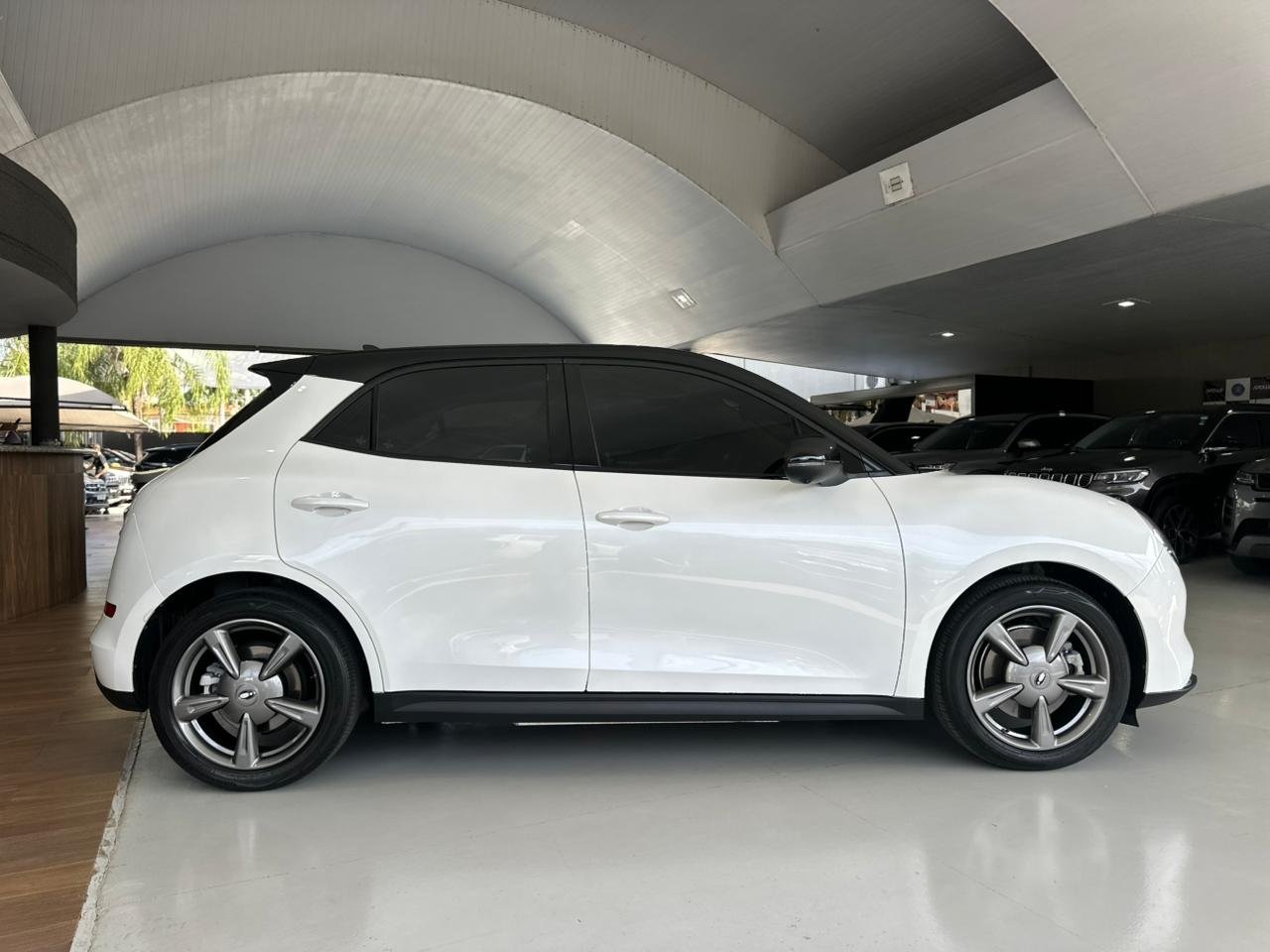GWM Ora 03 48 KW ELÉTRICO SKIN
