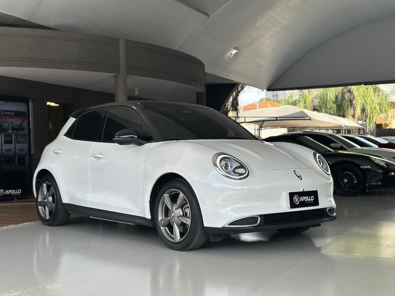 GWM Ora 03 48 KW ELÉTRICO SKIN