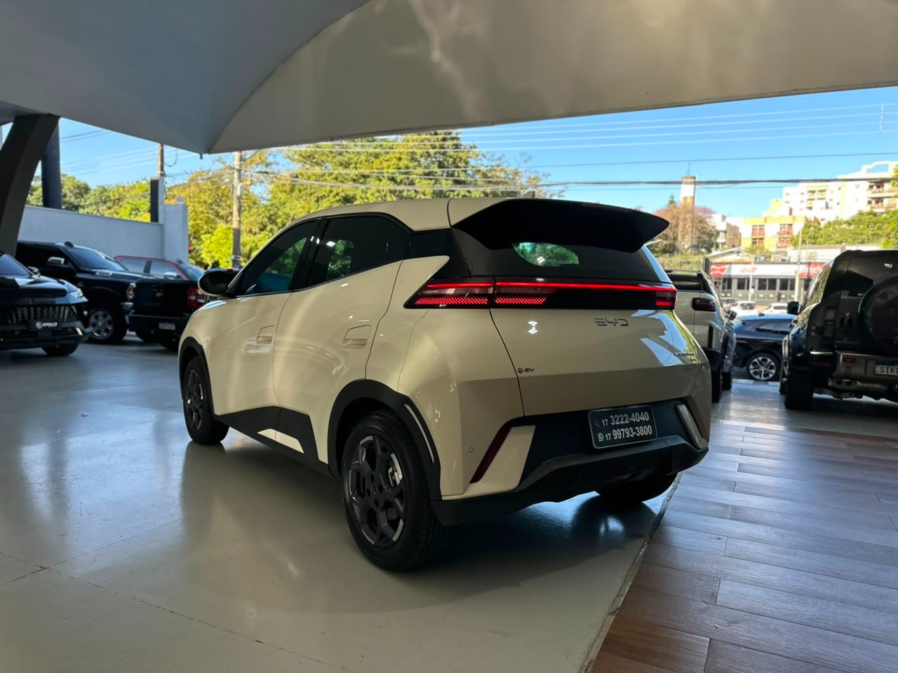 BYD Dolphin Mini 38 KW ELÉTRICO