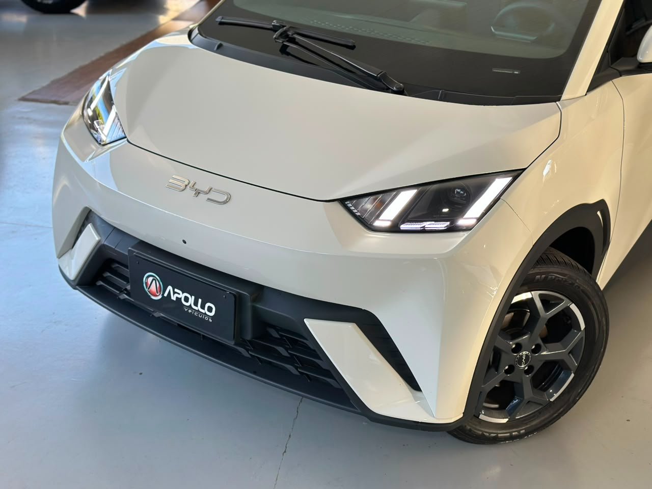 BYD Dolphin Mini 38 KW ELÉTRICO