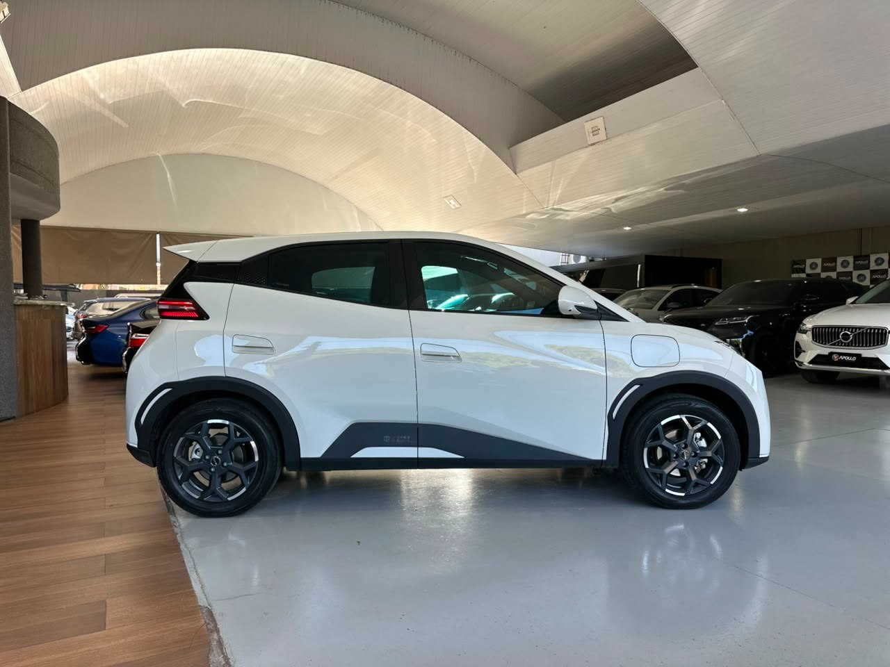 BYD Dolphin Mini 38 KW ELÉTRICO