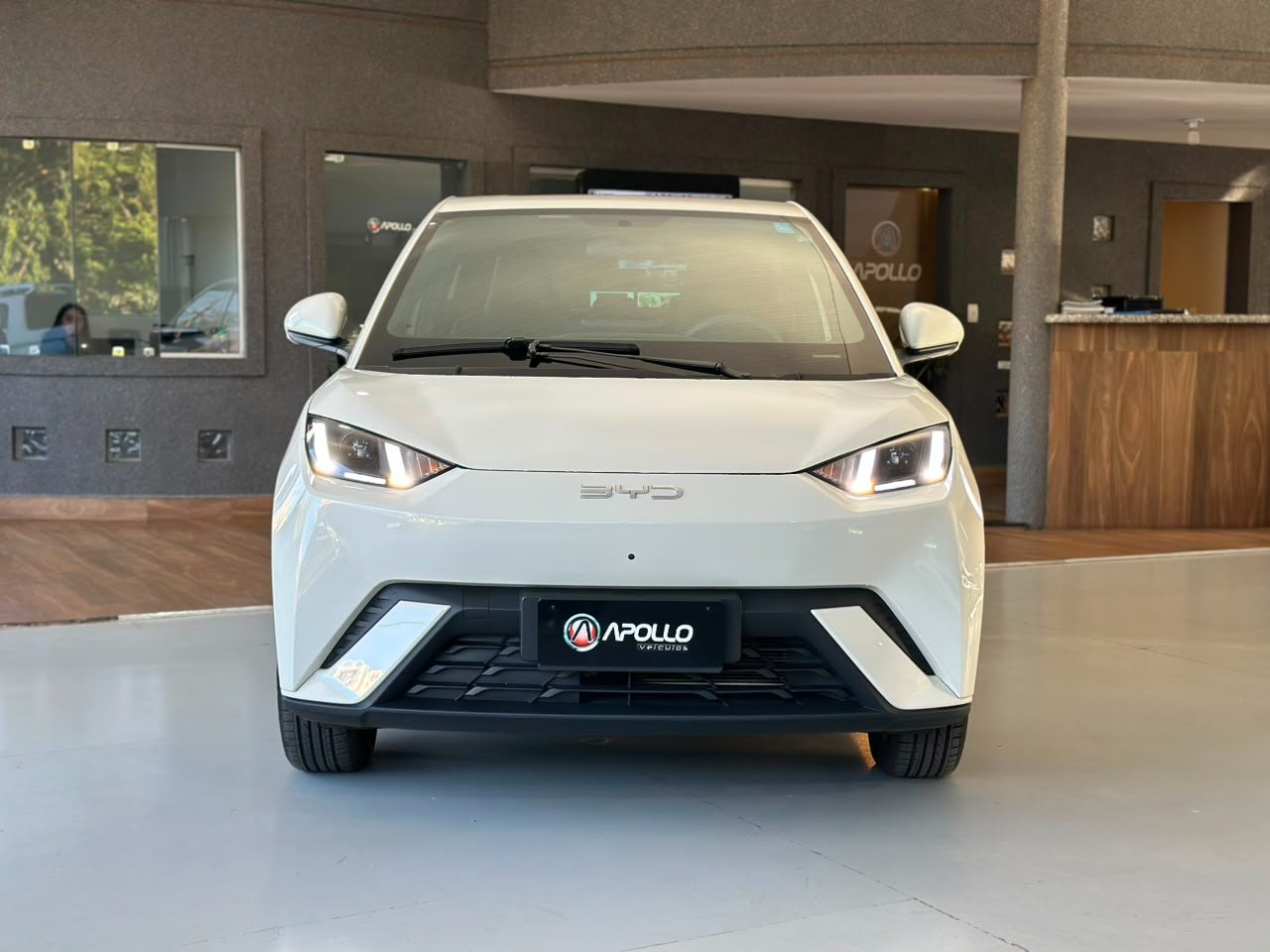 BYD Dolphin Mini 38 KW ELÉTRICO