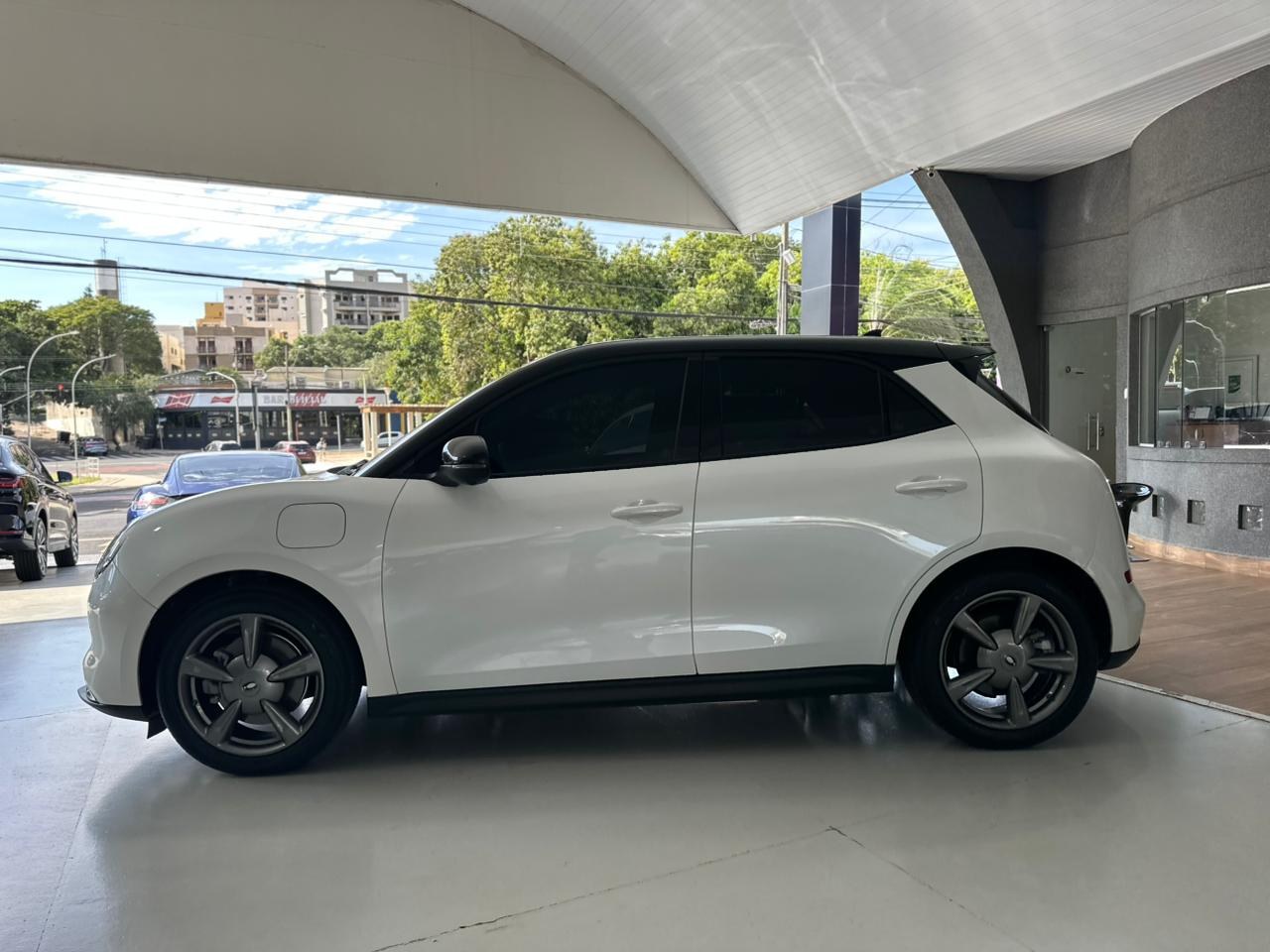 GWM Ora 03 48 KW ELÉTRICO SKIN