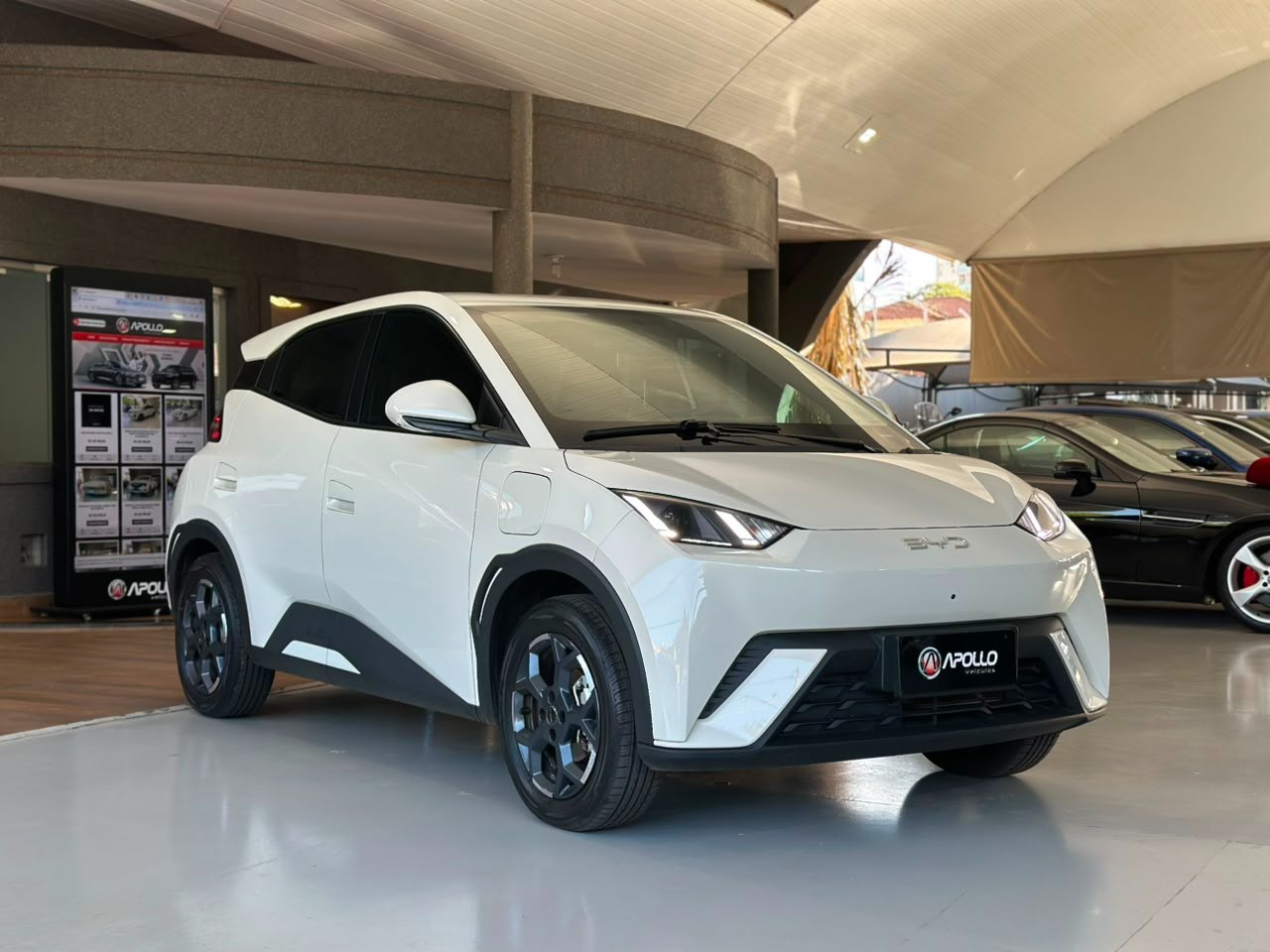 BYD Dolphin Mini 38 KW ELÉTRICO