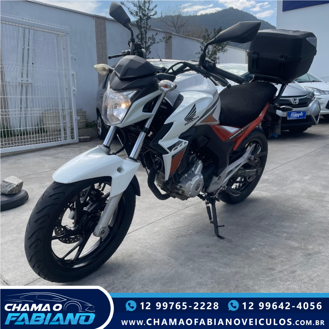 CB 250 F Twister FLEXONE