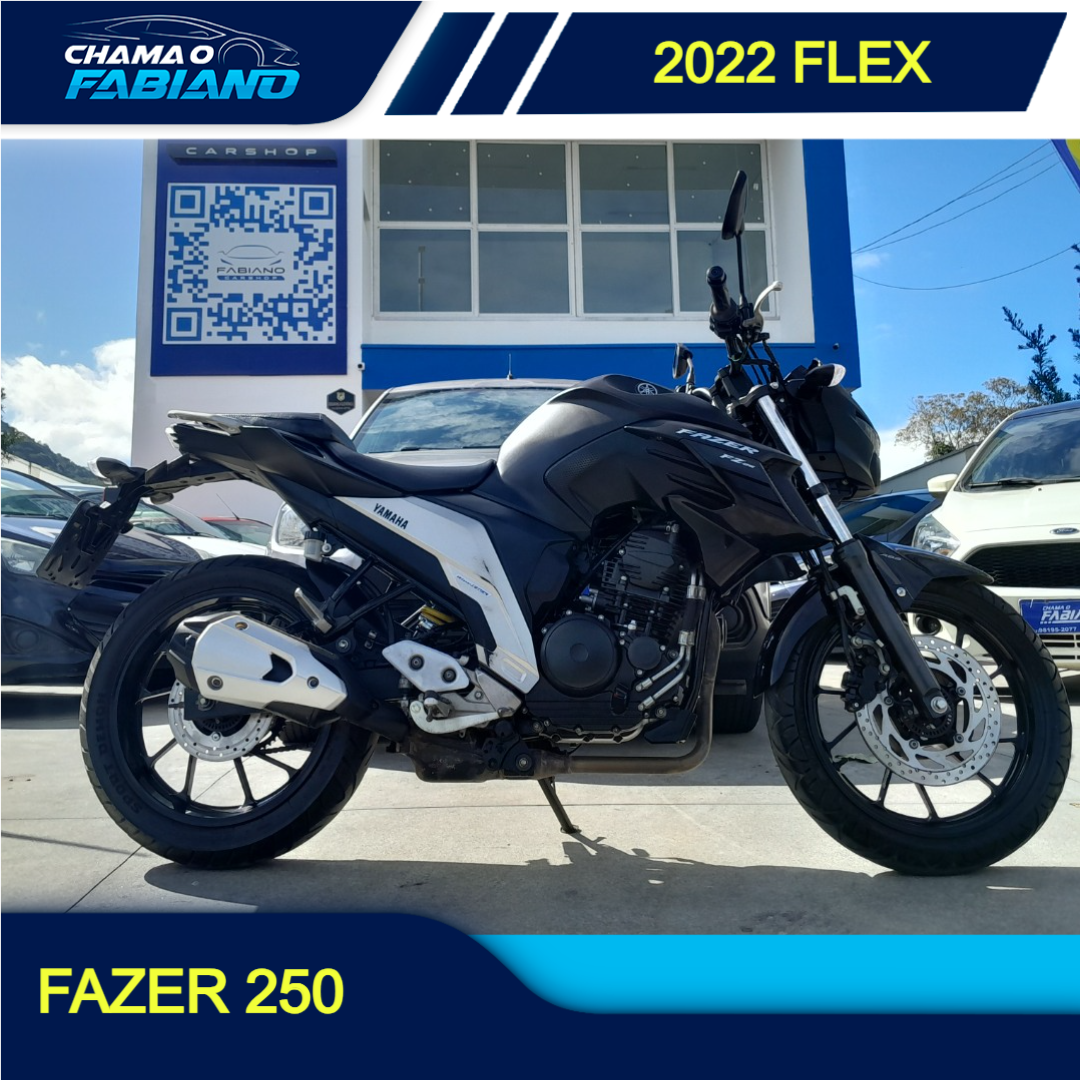 FZ 25 250 Fazer Flex N/D