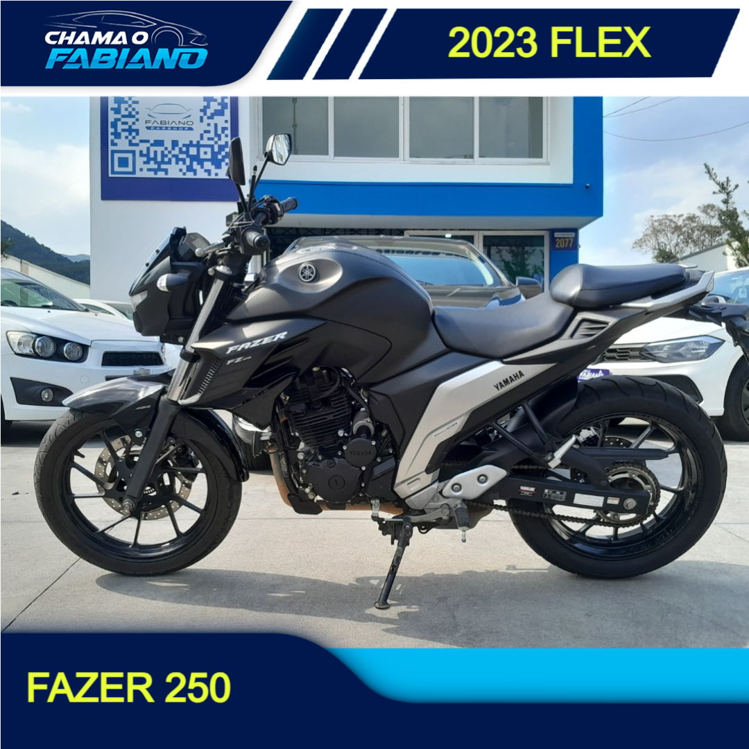 FZ 25 250 Fazer Flex N/D