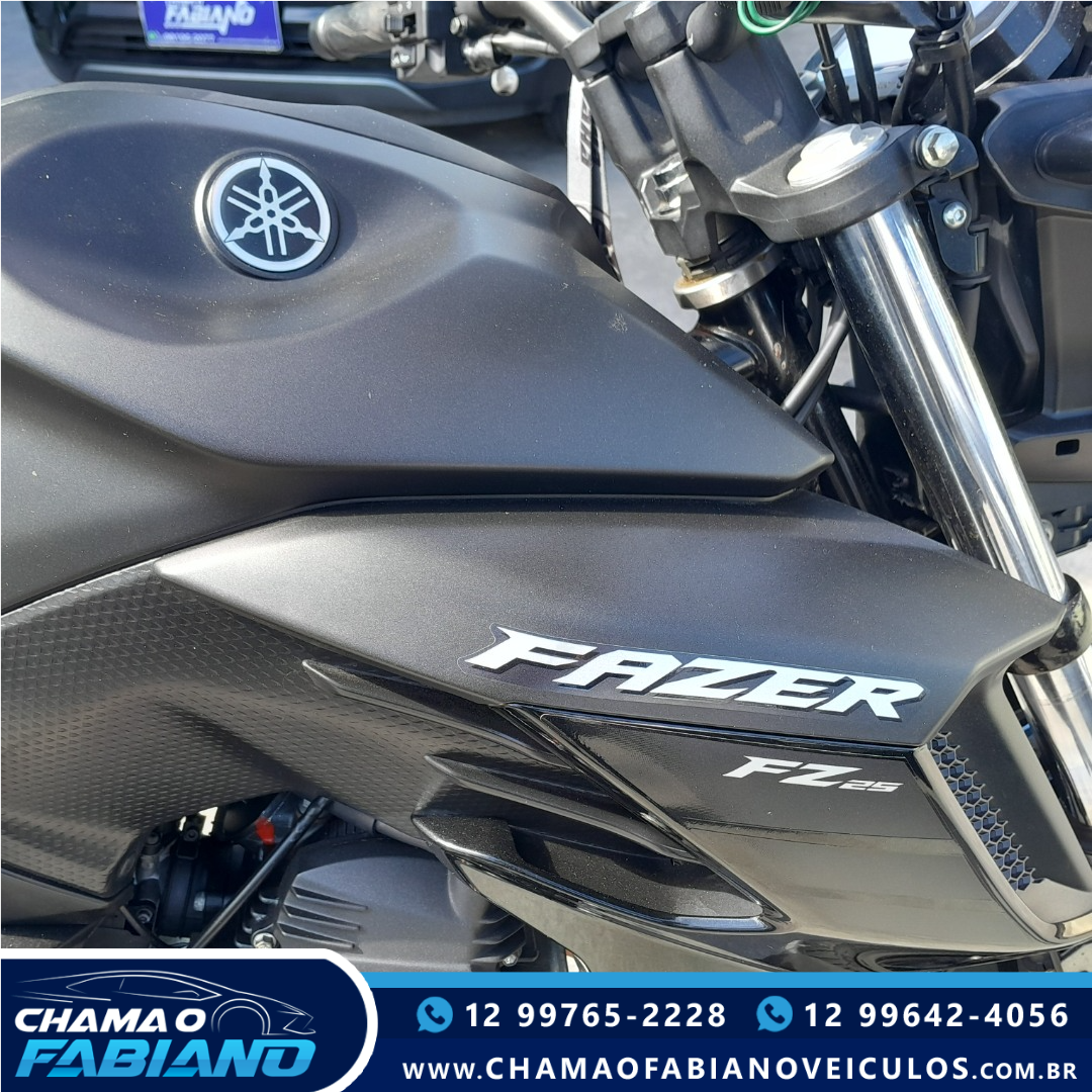FZ 25 250 Fazer Flex N/D