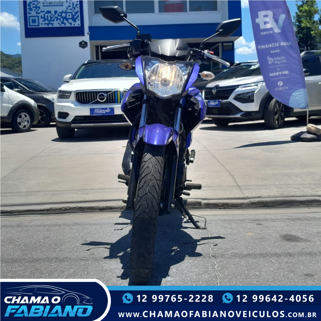 YAMAHA Fazer YS 150 SED