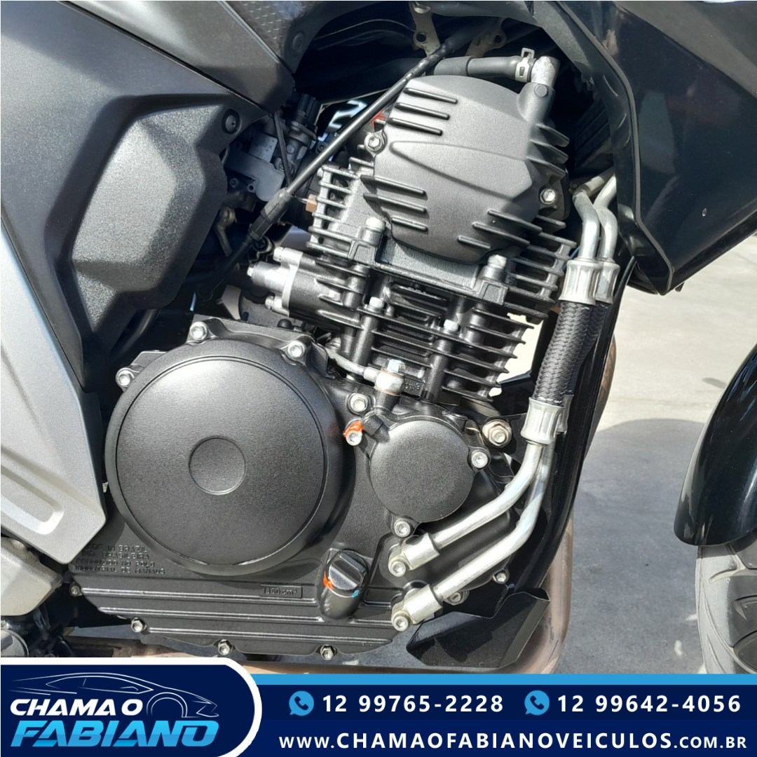 FZ 25 250 Fazer Flex N/D