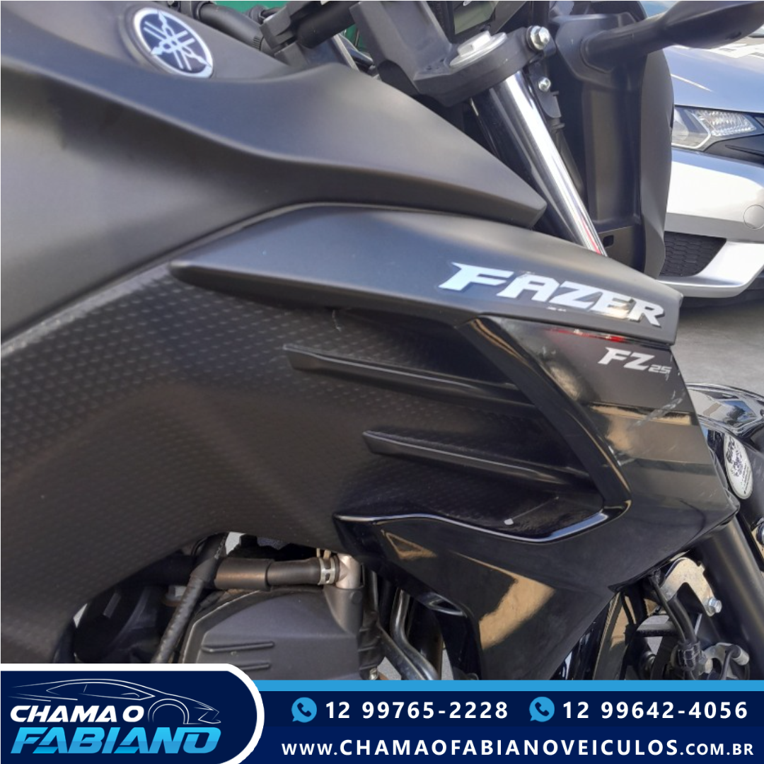 FZ 25 250 Fazer Flex N/D