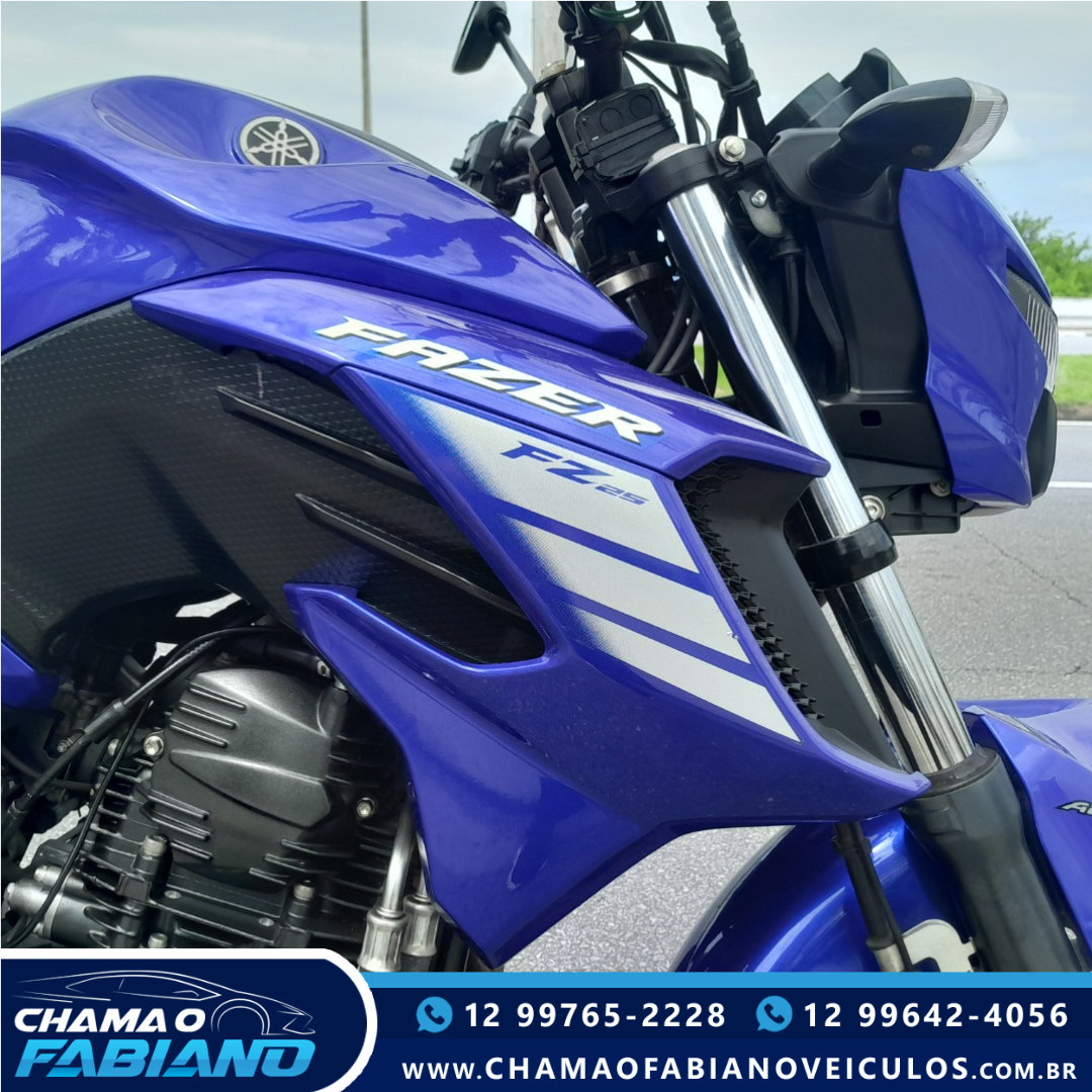 YAMAHA FZ 25 250 Fazer Flex N/D