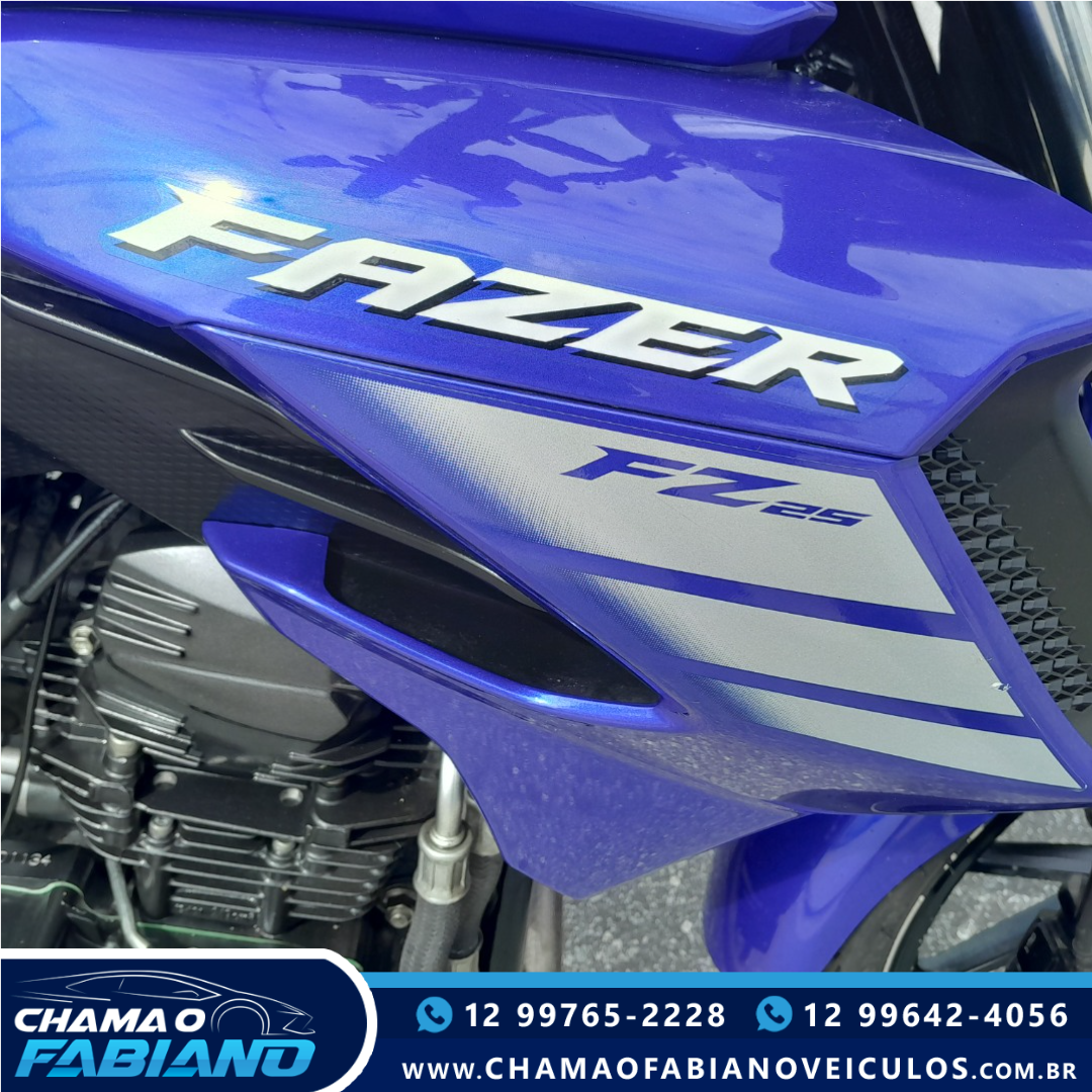 YAMAHA FZ 25 250 Fazer Flex N/D