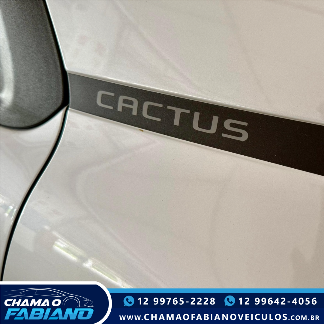 CITROEN C4 Cactus 1.6 16V 4P FLEX SHINE PACK THP TURBO AUTOMÁTICO