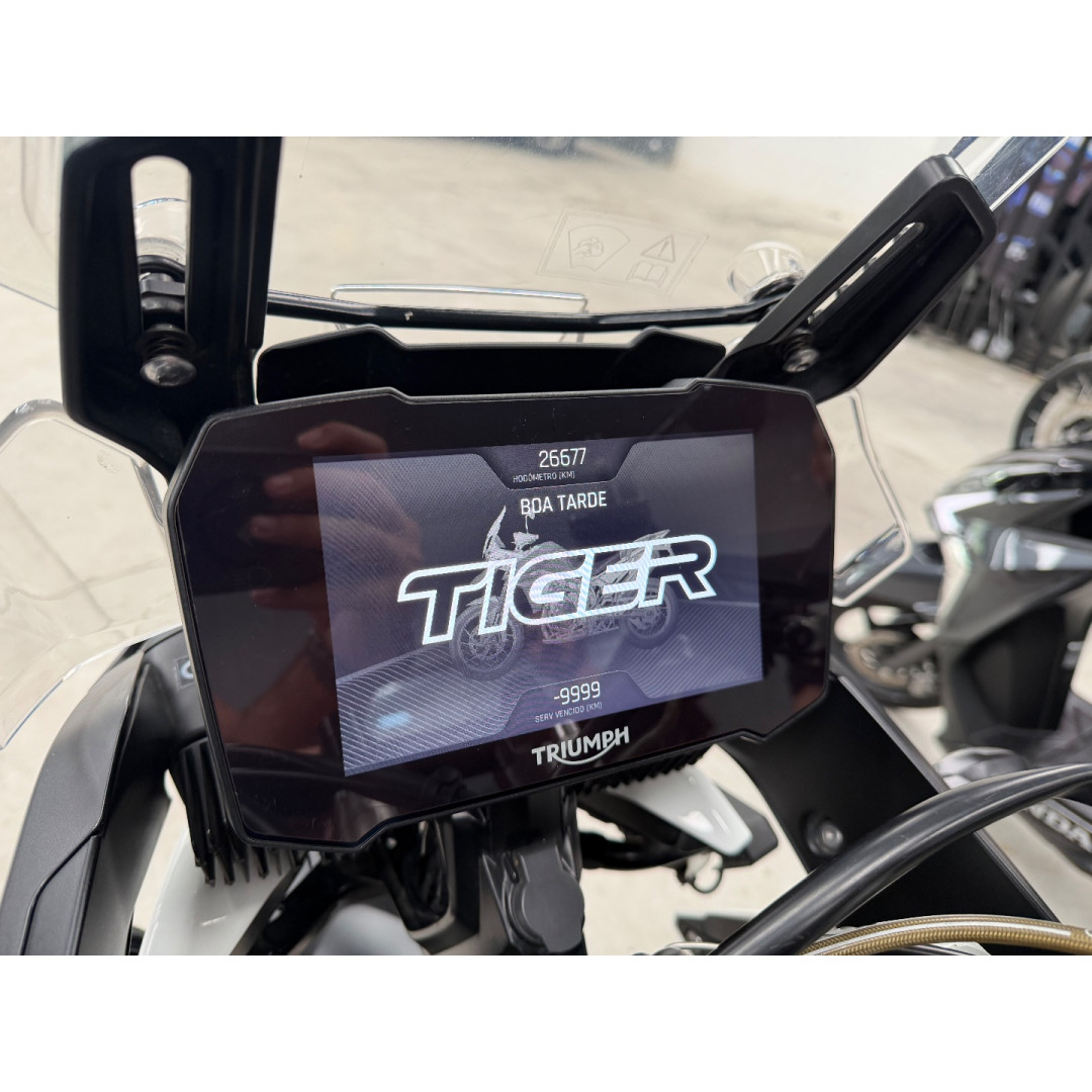 TRIUMPH Tiger 900 RALLY PRÓ
